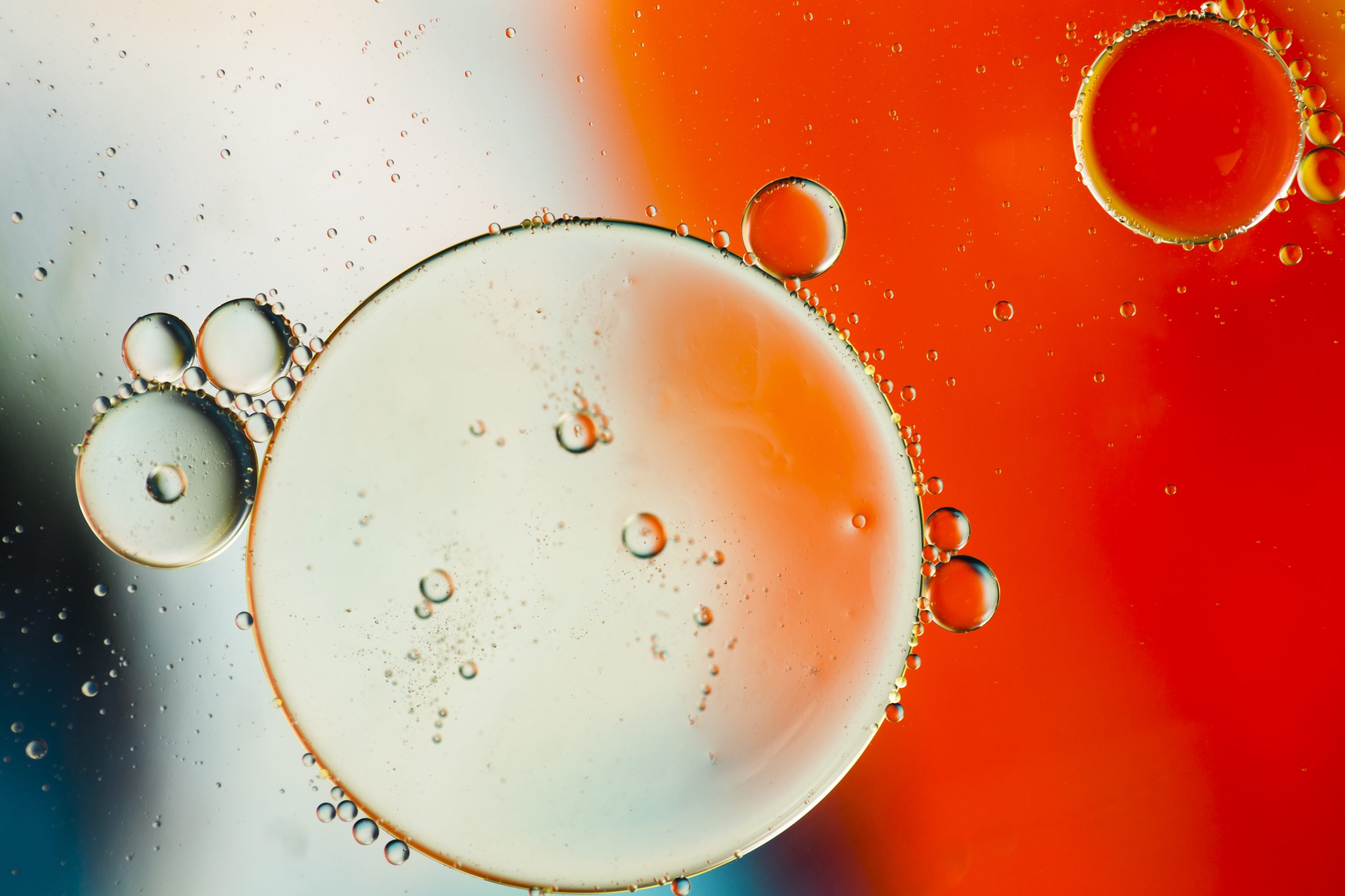 Ionic balance, part one