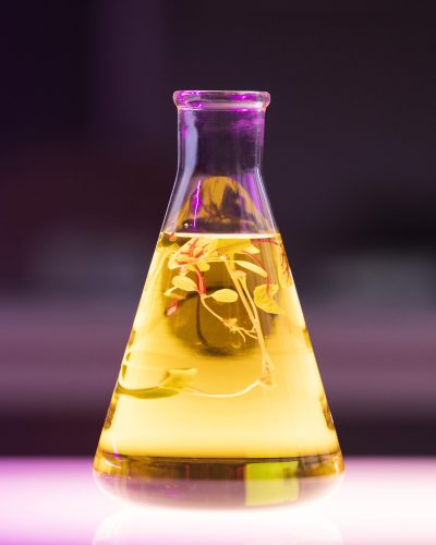 Acid-base equilibria