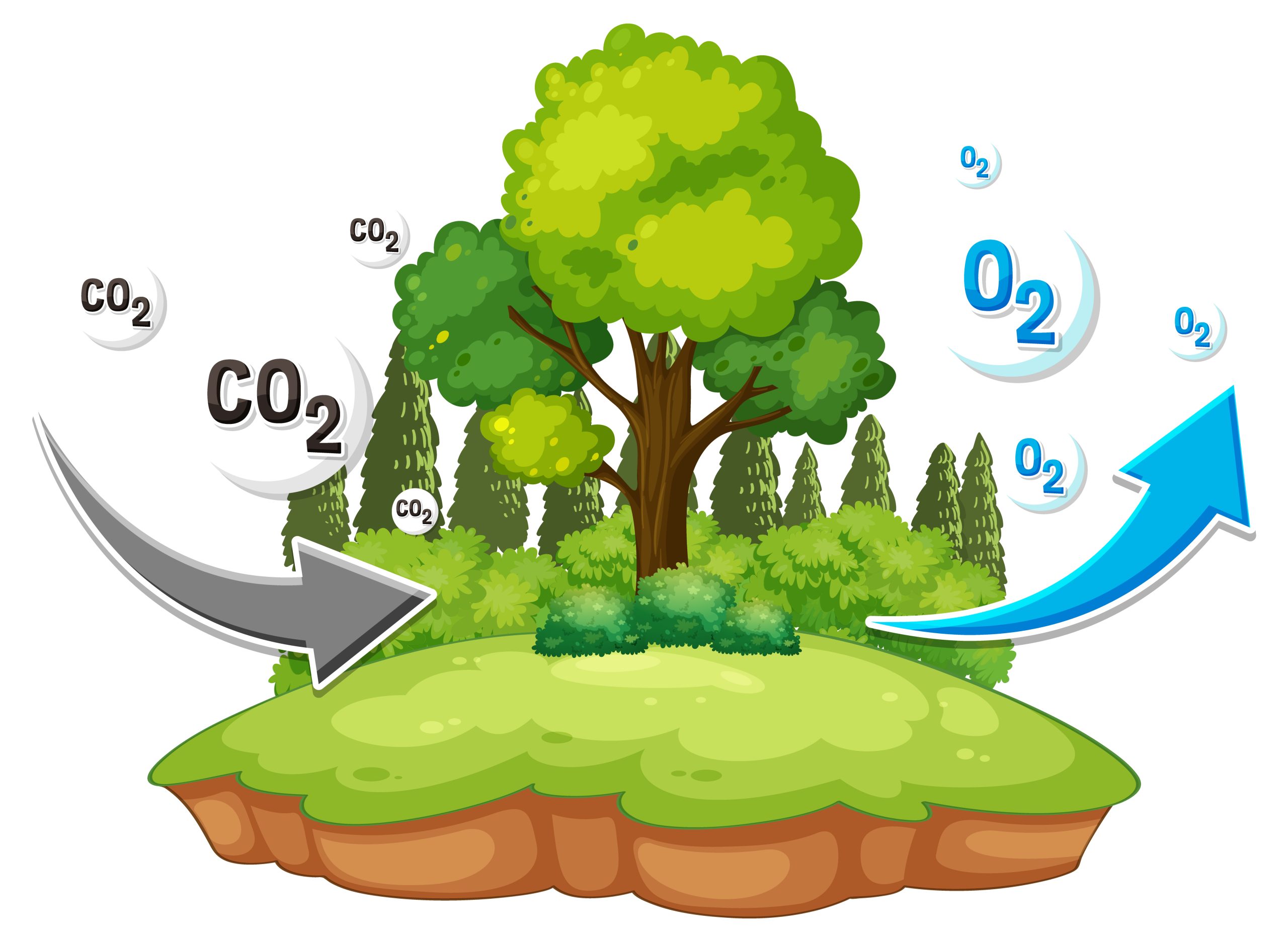 Gases that make up clean, dry air and their volume percentages