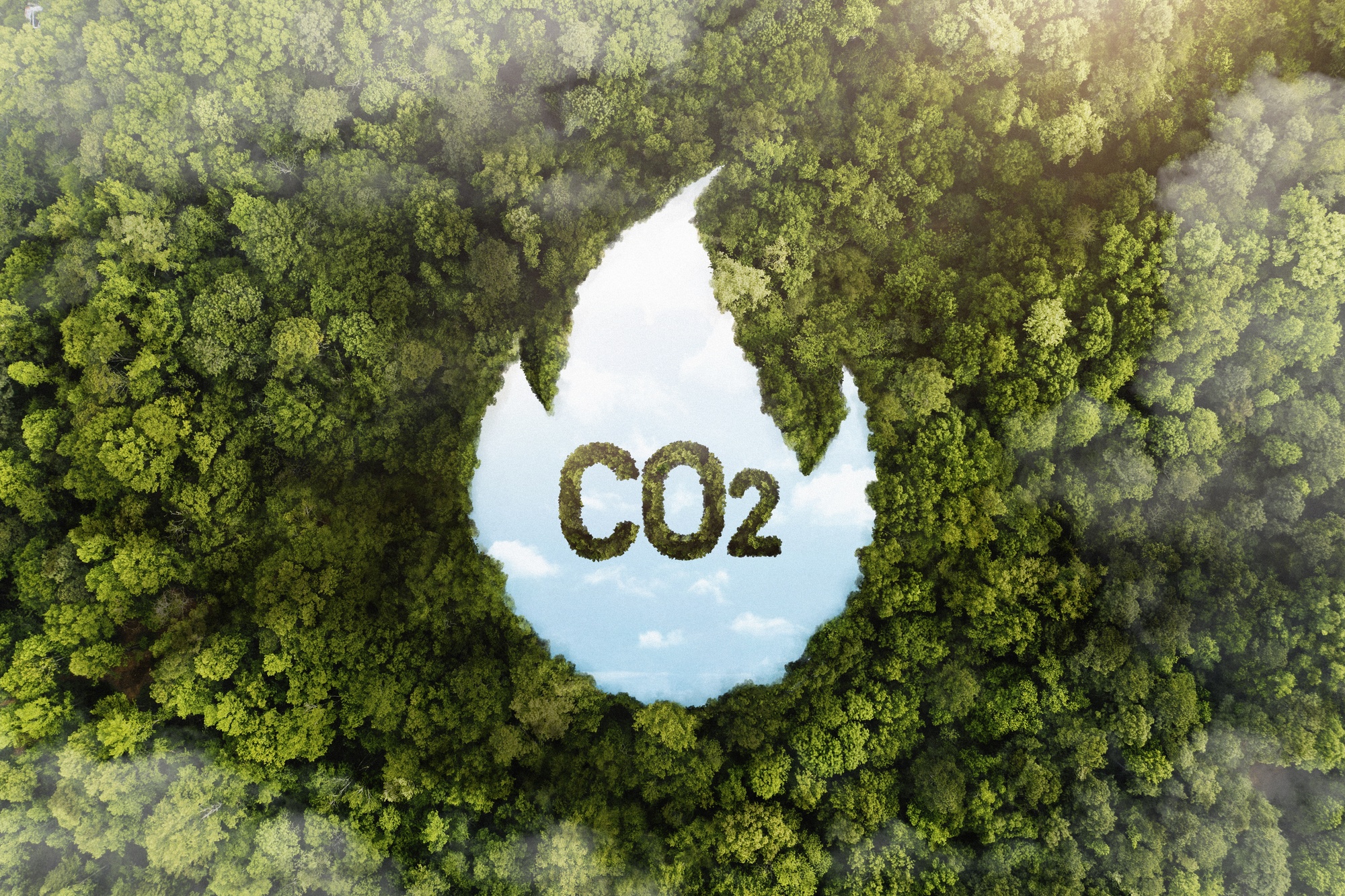 Carbon dioxide (CO₂) entering the atmosphere