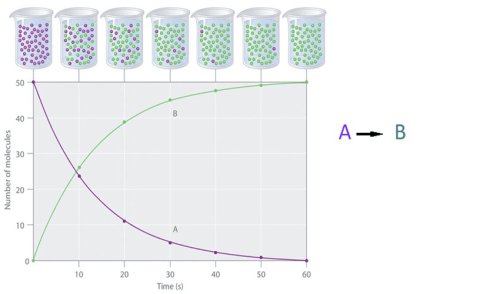 Average reaction rate and slope of the mole-time diagram