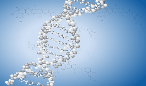 Macromolecules: Their chemical structure, properties, and chemical applications in nature and industry.