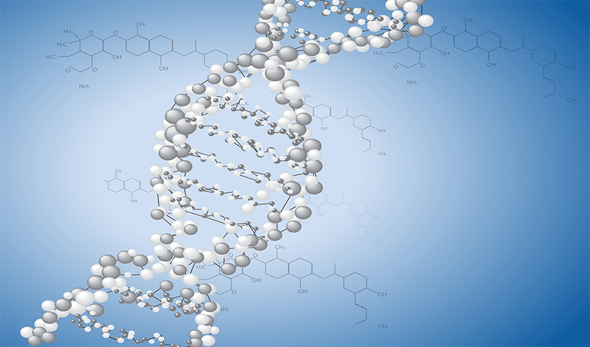 Macromolecules: Their chemical structure, properties, and chemical applications in nature and industry.