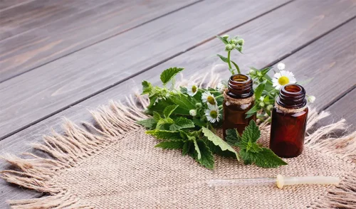 The secret of the cool scent of mint and lily of the valley