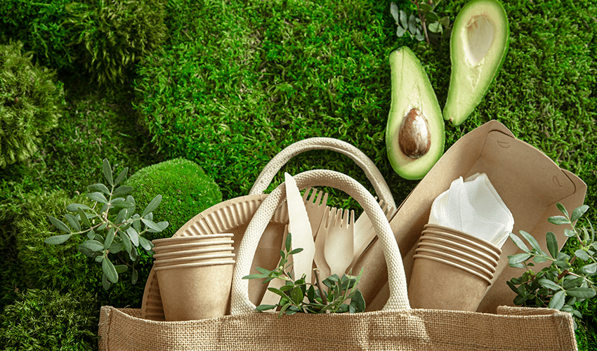 Biodegradables: A new generation of sustainable materials serving green development